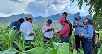 Joining Forces To Sow Peace Through Multilateralism: CIMMYT’s Global Commitment