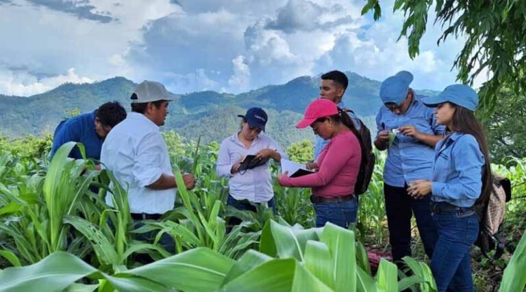 Joining Forces To Sow Peace Through Multilateralism: CIMMYT’s Global Commitment