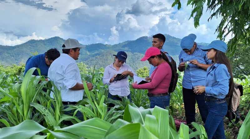 Joining Forces To Sow Peace Through Multilateralism: CIMMYT’s Global Commitment