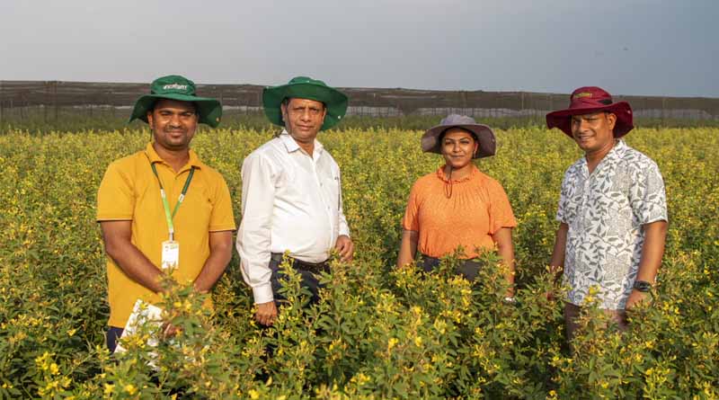 Breakthrough at ICRISAT: World’s First Extreme Heat-Tolerant Pigeonpea Developed via Speed Breeding