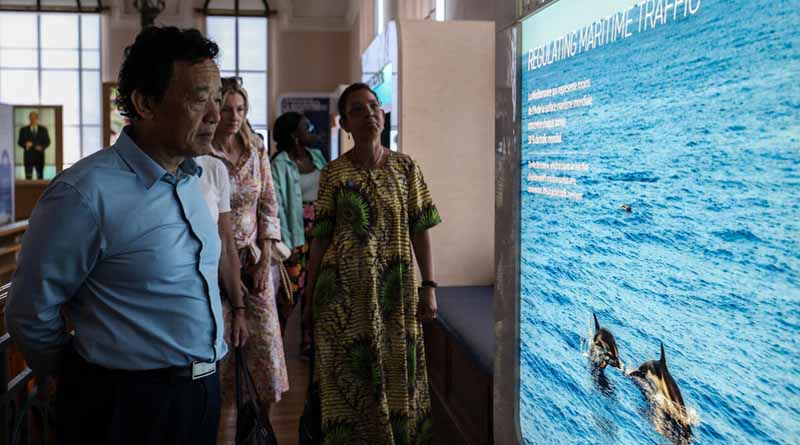 FAO Director-General Highlights Science, Solutions And Partnerships at UN Ocean Conference