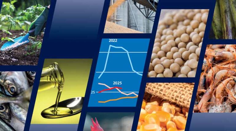 FAO Food Outlook: Global Output Of Key Food Commodity Crops On Course For New Records
