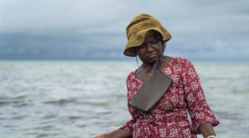 Make the ocean blue again: UN recognizes World Restoration Flagships in East Africa, Mexico, and Spain