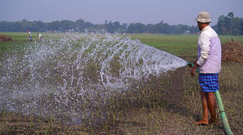 Over 77 Million Indian Farmers Benefit from Government-Backed Low-Interest Credit Scheme