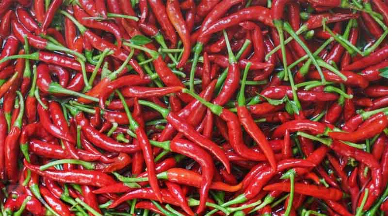 5 Common Chilli Pests And Diseases