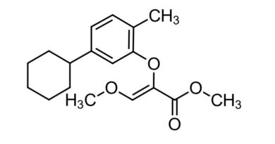 Metcyclofenstrobin