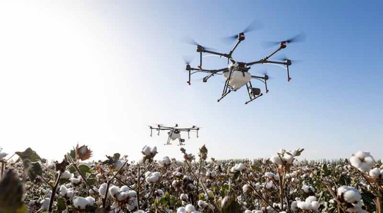 Agrochemical Patent Expiries in 2028: Broad Spectrum Fungicides in Focus