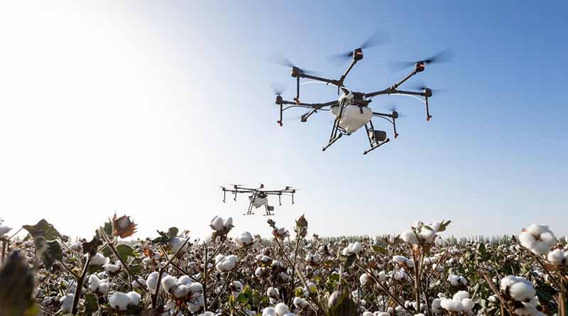 Agrochemical Patent Expiries in 2028: Broad Spectrum Fungicides in Focus