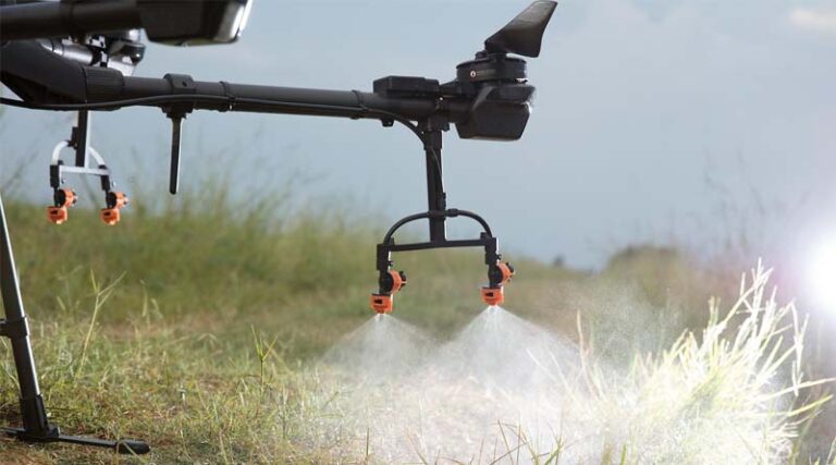 Global Agrochemical Patent Expiries in 2026: New Opportunities in Insecticides and Herbicides