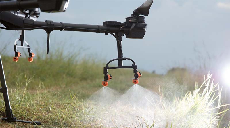 Global Agrochemical Patent Expiries in 2026: New Opportunities in Insecticides and Herbicides