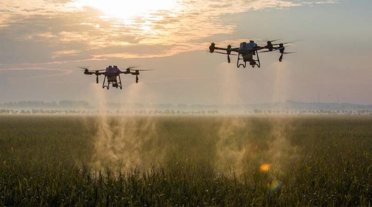 Global Agrochemical Patent Expiries 2021–2028: Key Molecules, Market Impact & Generic Opportunities