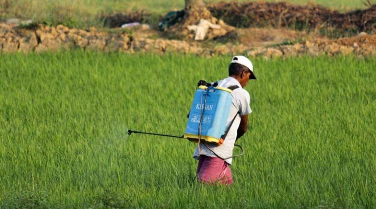 Haryana Citizens to get Land Demarcation with New Digital Portal – Dr. Sumita Misra