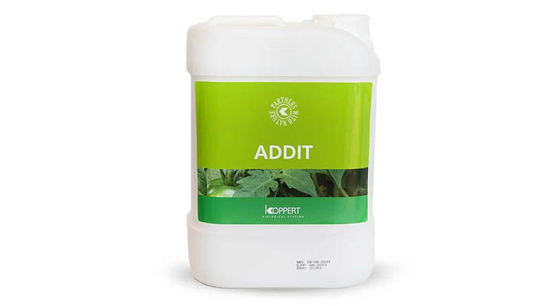 Addit by Koppert: Natural Wetting Agent to Enhance Biocontrol Efficiency in Crop Protection