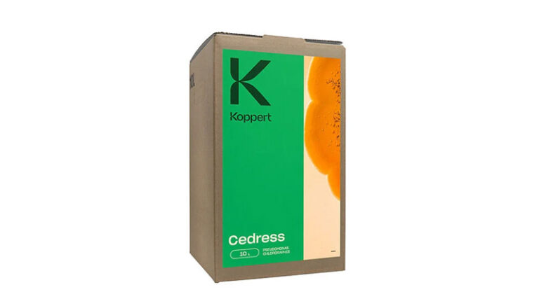 Cedress by Koppert: Natural Biofungicide for Seed-Borne Fungal Disease Control in Vegetable Crops