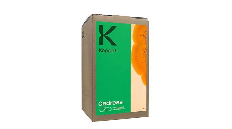 Cedress by Koppert: Natural Biofungicide for Seed-Borne Fungal Disease Control in Vegetable Crops