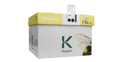 Natupol by Koppert: Natural Bumblebee Pollinator for Protected Crop Pollination