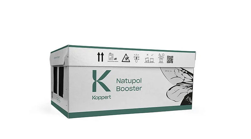Natupol Booster by Koppert: Eco-Friendly Bumblebee Pollinator for Outdoor Short Blossoming Crops