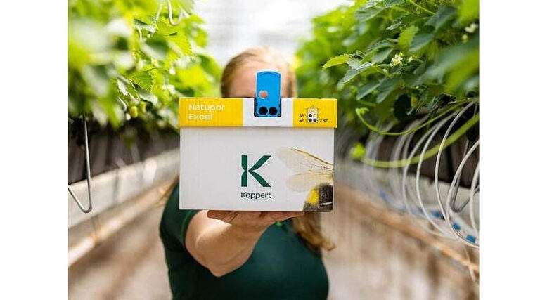 Natupol Excel by Koppert: Enhanced Bumblebee Pollinator for High-Flowering Protected Crops and Artificial Light Cultivation