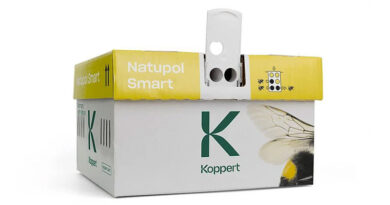 Natupol Smart by Koppert: Efficient Bumblebee Pollinator for Small Surfaces and Tunnel Cultivation