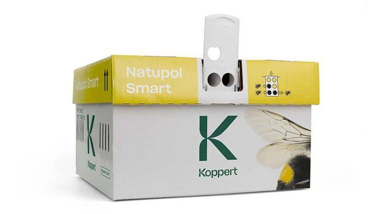 Natupol Smart by Koppert: Efficient Bumblebee Pollinator for Small Surfaces and Tunnel Cultivation