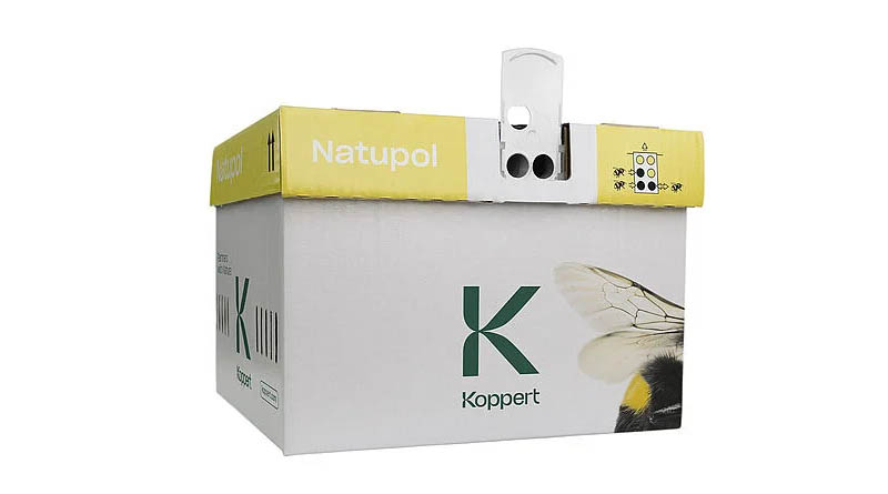 Natupol by Koppert: Natural Bumblebee Pollinator for Protected Crop Pollination