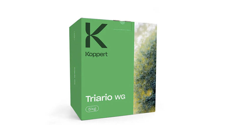 Triario WG by Koppert: Concentrated Trichoderma-Based Biofungicide for Soil Health and Plant Growth