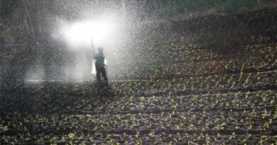 How Farmers Can Identify Fake and Adulterated Fertilizers in India: A Practical Guide