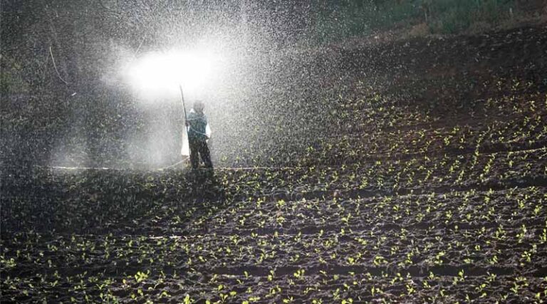How Farmers Can Identify Fake and Adulterated Fertilizers in India: A Practical Guide