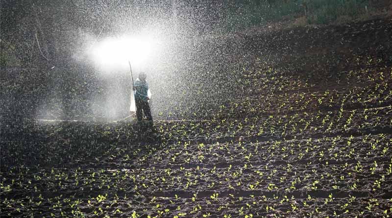 How Farmers Can Identify Fake and Adulterated Fertilizers in India: A Practical Guide