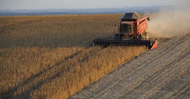 Crop Protection and Nutrition Update – Brazil and Latin America