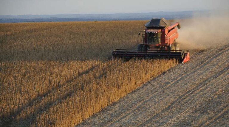 Crop Protection and Nutrition Update – Brazil and Latin America