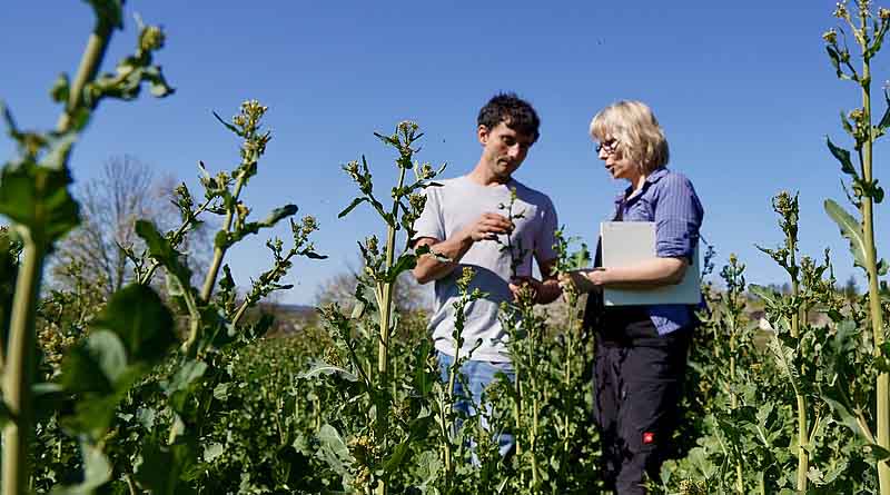 Coming November 2025: Online Basic Course For Future Organic Advisors