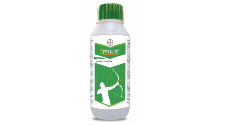 Bayer Launches Felujit: A Next-Generation Fungicide to Combat Sheath Blight in Paddy in India