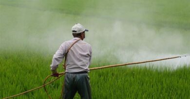 All Products of Universal Agro Chemical Industries Banned in Sehore District of Madhya Pradesh