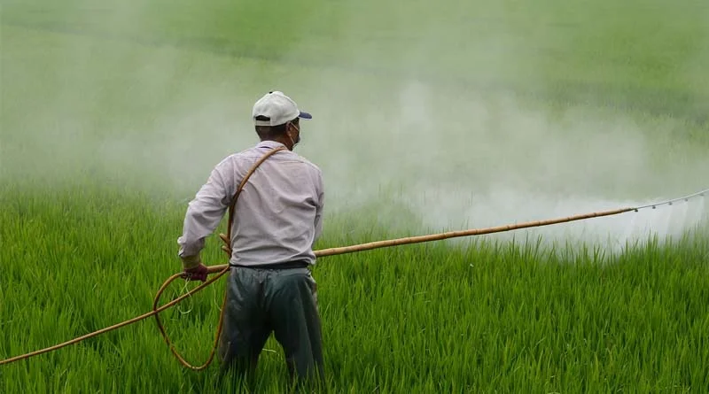 Delhi High Court Restrains Mass Crop Science from Using Deceptively Similar Packaging to BASF’s ‘Tynzer’ Herbicide