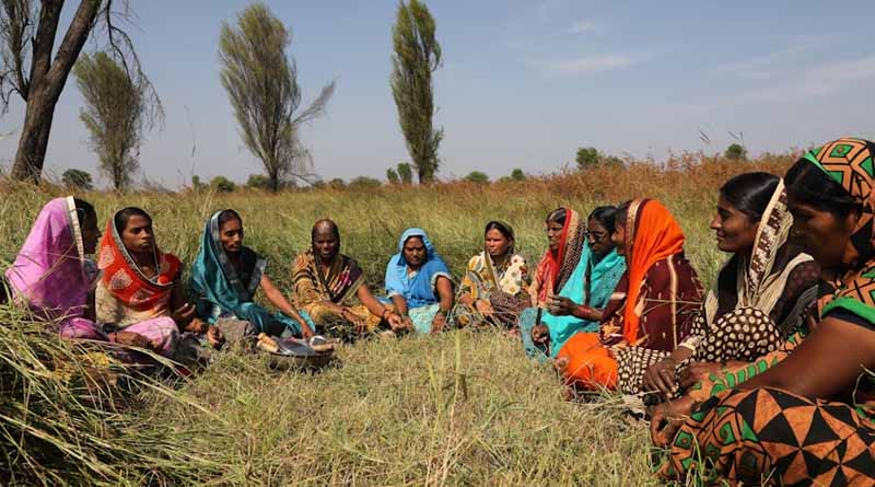 Farming Goes High-Tech with Google’s AI Tools, Promises Higher Income for Indian Farmers