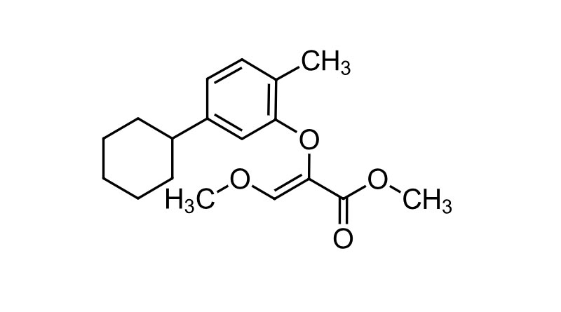 ISO Provisionally Approves New Fungicide Name “Metcyclofenstrobin” from Syngenta
