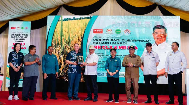 BASF and MARDI Introduce New Clearfield Rice Varieties MR CL3 and MR CL4 in Malaysia