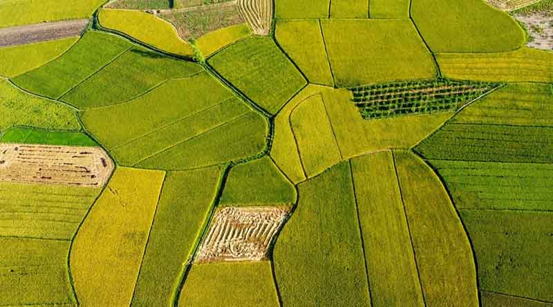 Policy for the Future: Leveraging GIS & GPS for India's Food Security