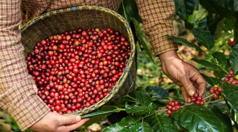 Victory! Federal Court Shuts Down Challenge To Core Organic "Grower Group" Standards