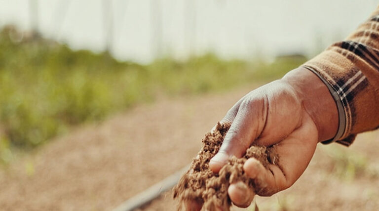The Silent Killer in Drip Irrigation