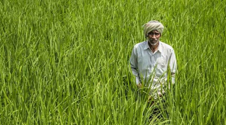 Indian Cabinet Approves ‘Prime Minister Dhan-Dhaanya Krishi Yojana’ to Boost Agriculture in 100 Districts
