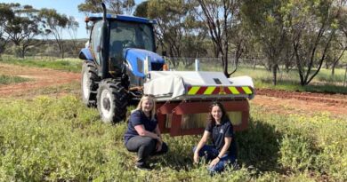 Electric Weed Control Proves Shockingly Effective