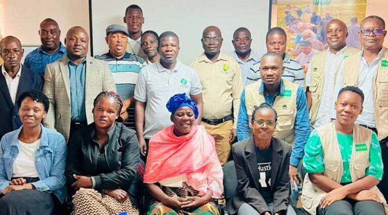 A Quest for Market- and Farmer-Aligned Rice Varieties in Mozambique