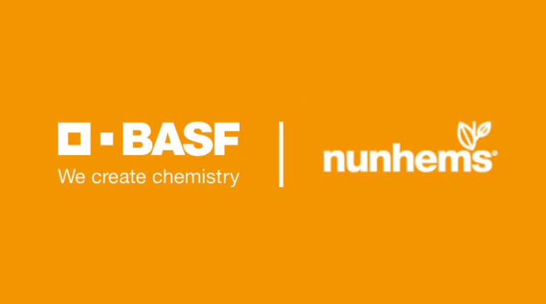 BASF | Nunhems Enhances Spinach Portfolio with Advanced Genetics for Disease Resistance and Reliable Yields
