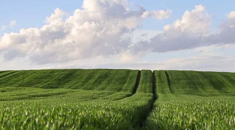 Sixteenth International Agricultural Trade Policy Conference Convenes