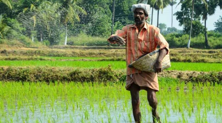 India Set to Begin Green Ammonia Field Trials for Agriculture: ACME Seeks ICAR Approval
