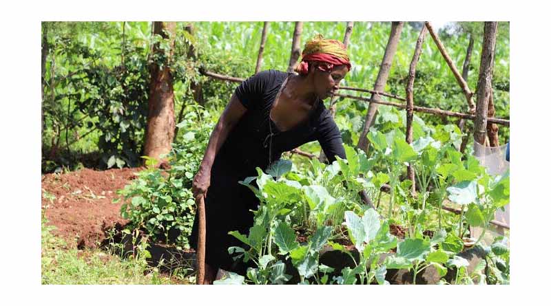 Resurrecting Dead Soils