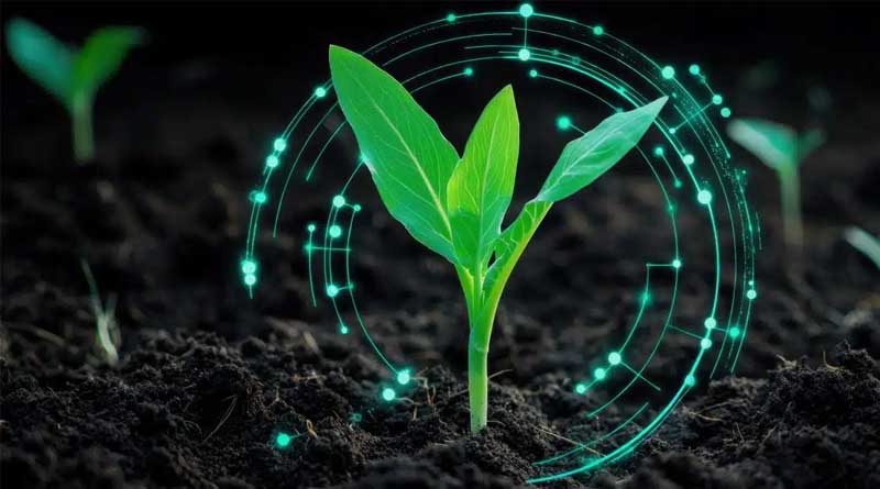 Crop Innovation Hearing Targets Plant Biostimulant Act of 2025