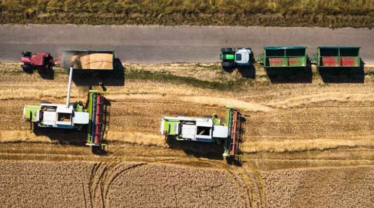 U.S. Soybean Crush Hits Record High as Biofuel Demand Grows, Exports Decline